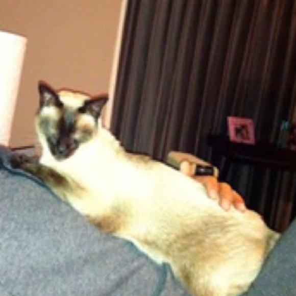 Meet your Posher, David - Picture 1 of 1